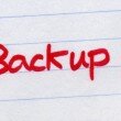 stockfresh_id536497_backup-written-in-red-ink_sizeXS